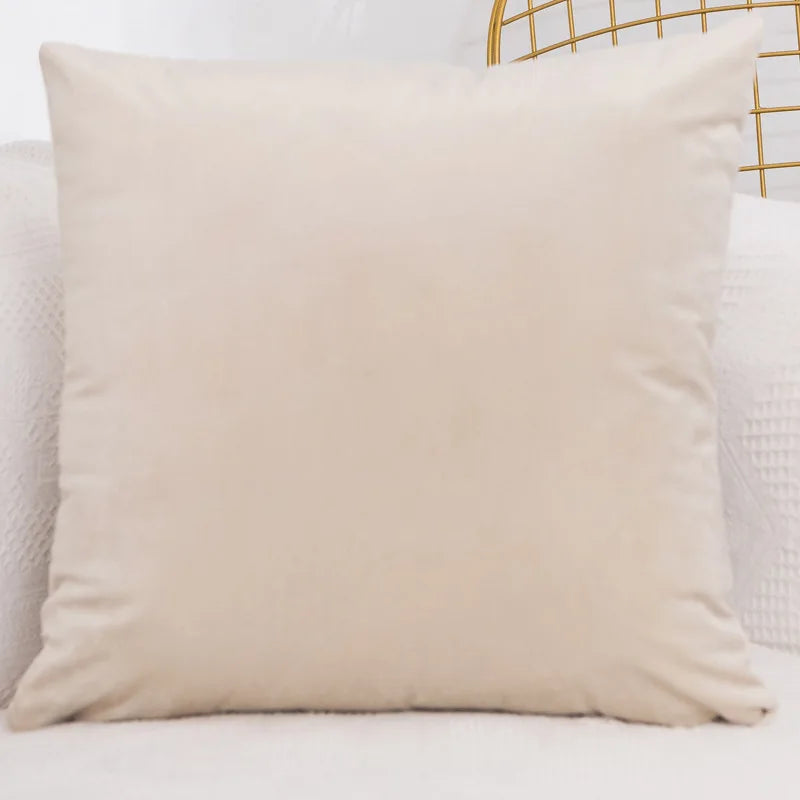 Velvet Decorative Throw Pillow Cover – Soft & Elegant Accent Cushion