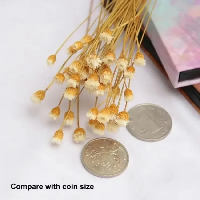 50 Mini Natural Dried Flower Bouquets