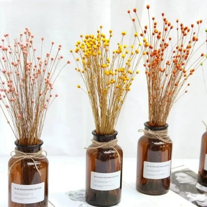 Brazilian Lucky Dried Flowers – Natural Preserved Floral Bouquets (50 pcs)