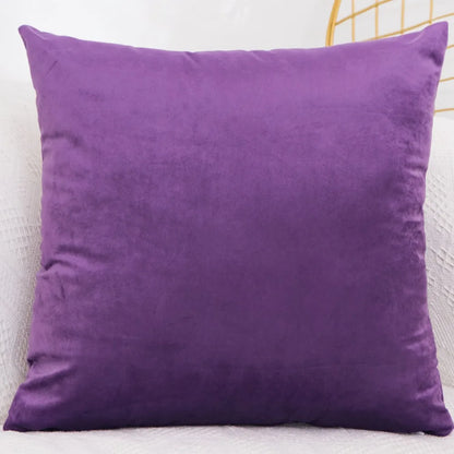 Velvet Throw Pillow Cover