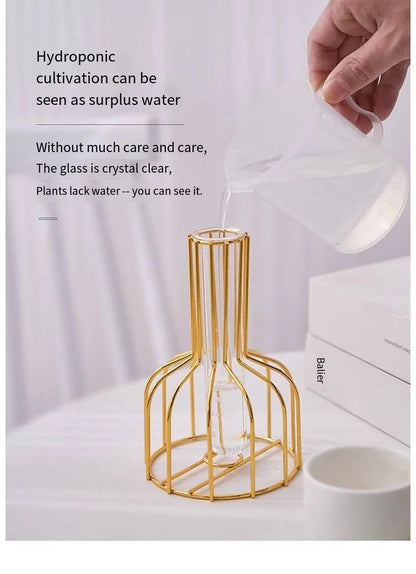 Gold Wrought Iron Test Tube Vase – Modern Decorative Hydroponic Container