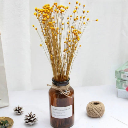 Brazilian Lucky Dried Flowers – Natural Preserved Floral Bouquets (50 pcs)