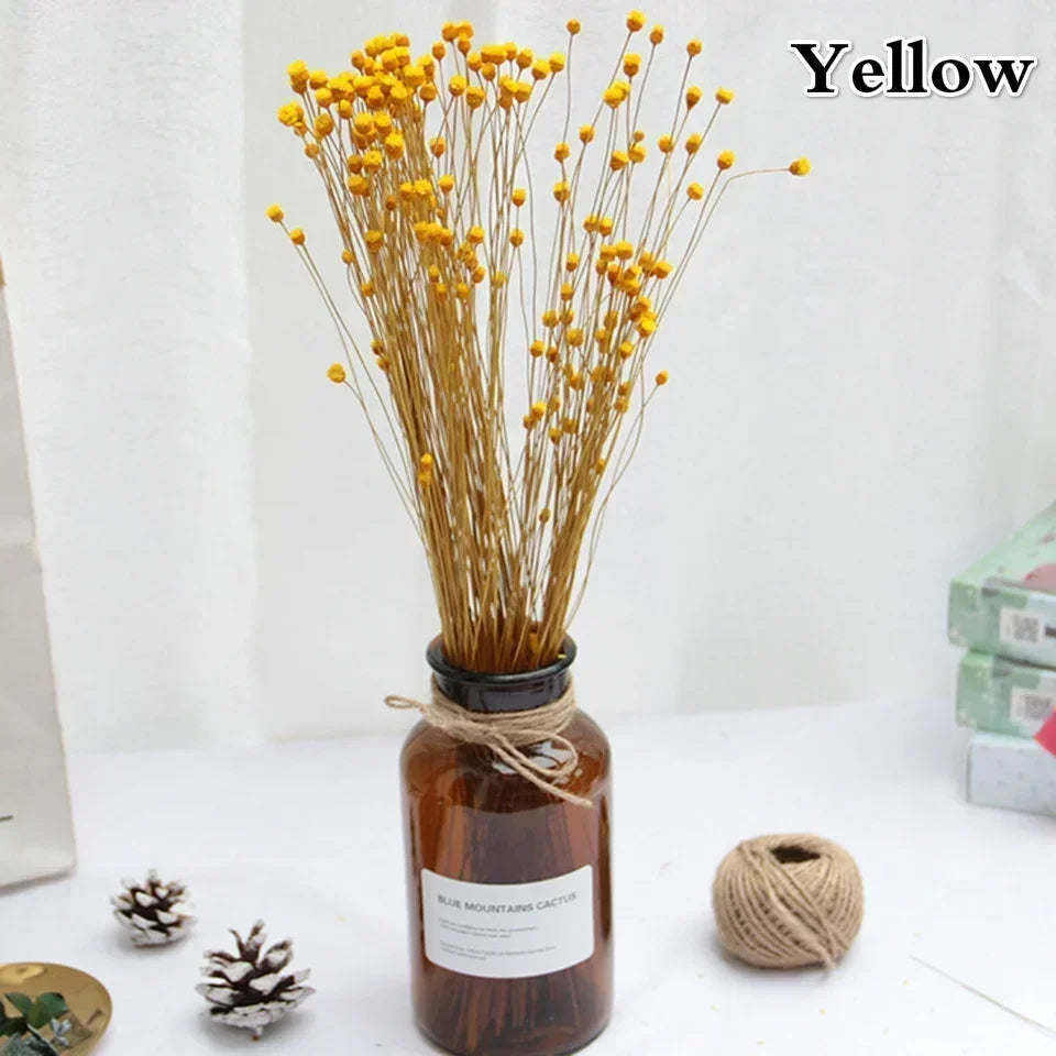 50 Mini Natural Dried Flower Bouquets