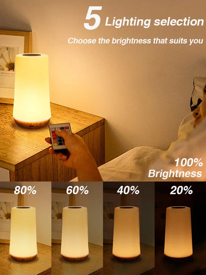 LED Night Light – 13 Color Changing, Touch & Remote Control