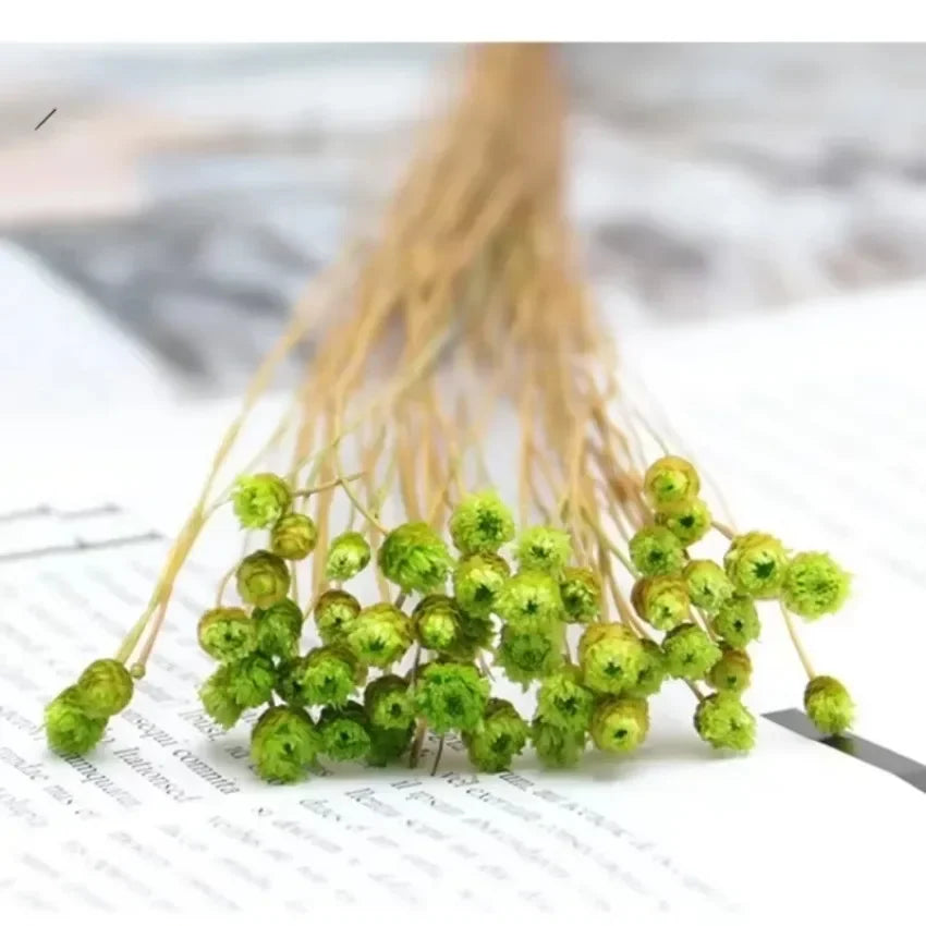 50 Mini Natural Dried Flower Bouquets