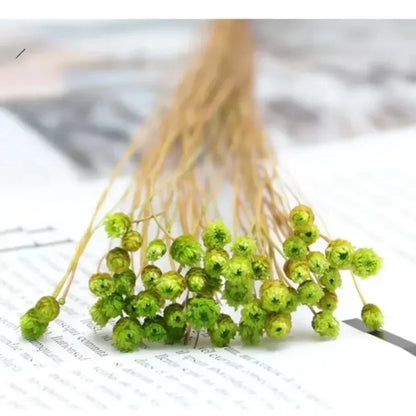 Brazilian Lucky Dried Flowers – Natural Preserved Floral Bouquets (50 pcs)