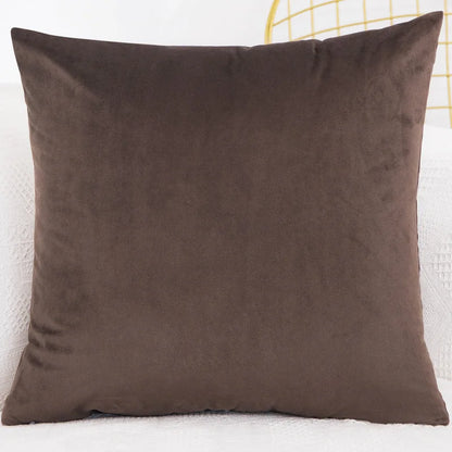 Velvet Throw Pillow Cover