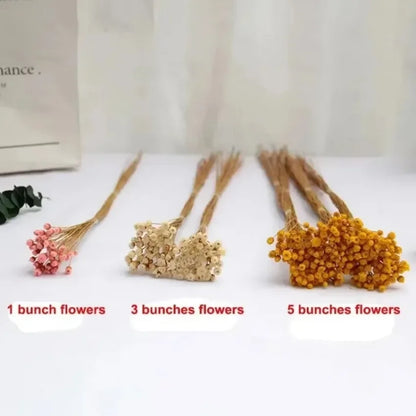50 Mini Natural Dried Flower Bouquets