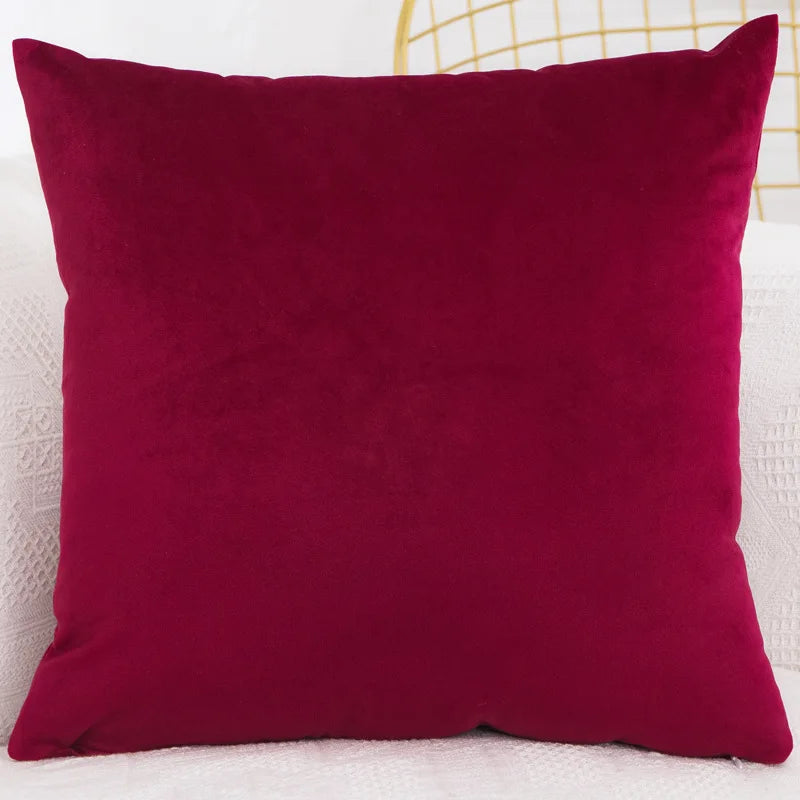 Velvet Throw Pillow Cover