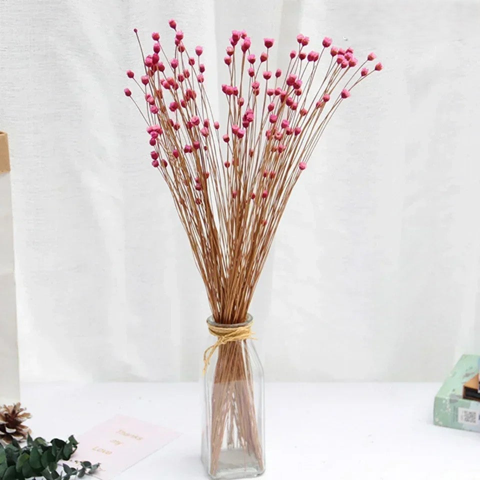 Brazilian Lucky Dried Flowers – Natural Preserved Floral Bouquets (50 pcs)