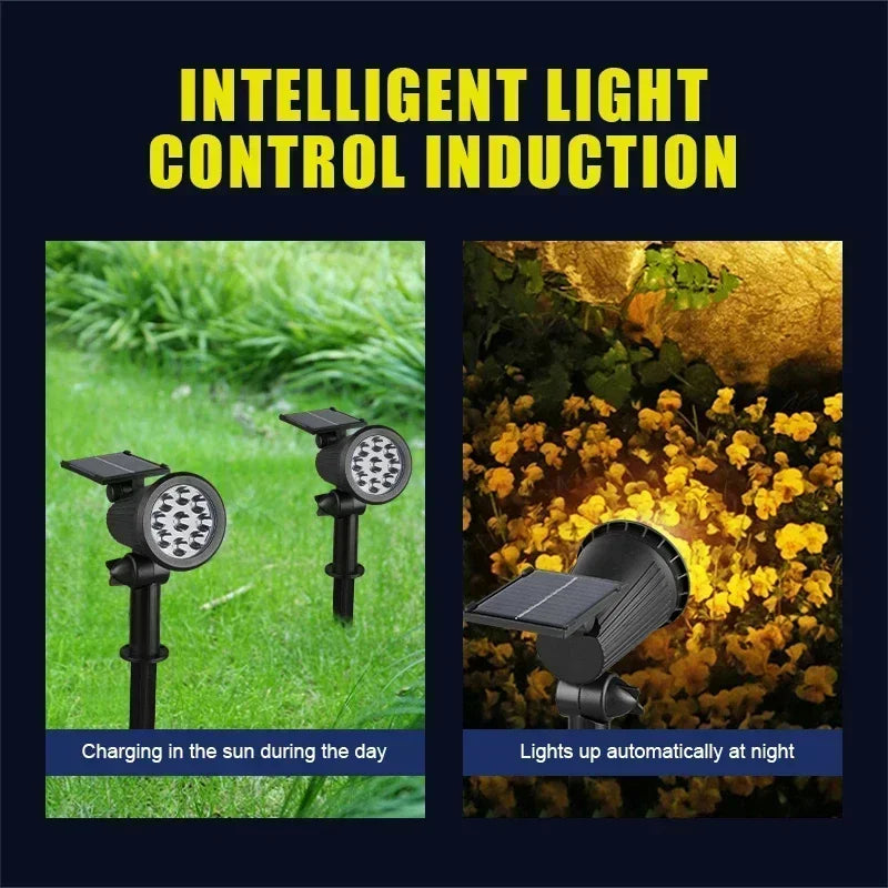 Solar 9-LED Pathway Light