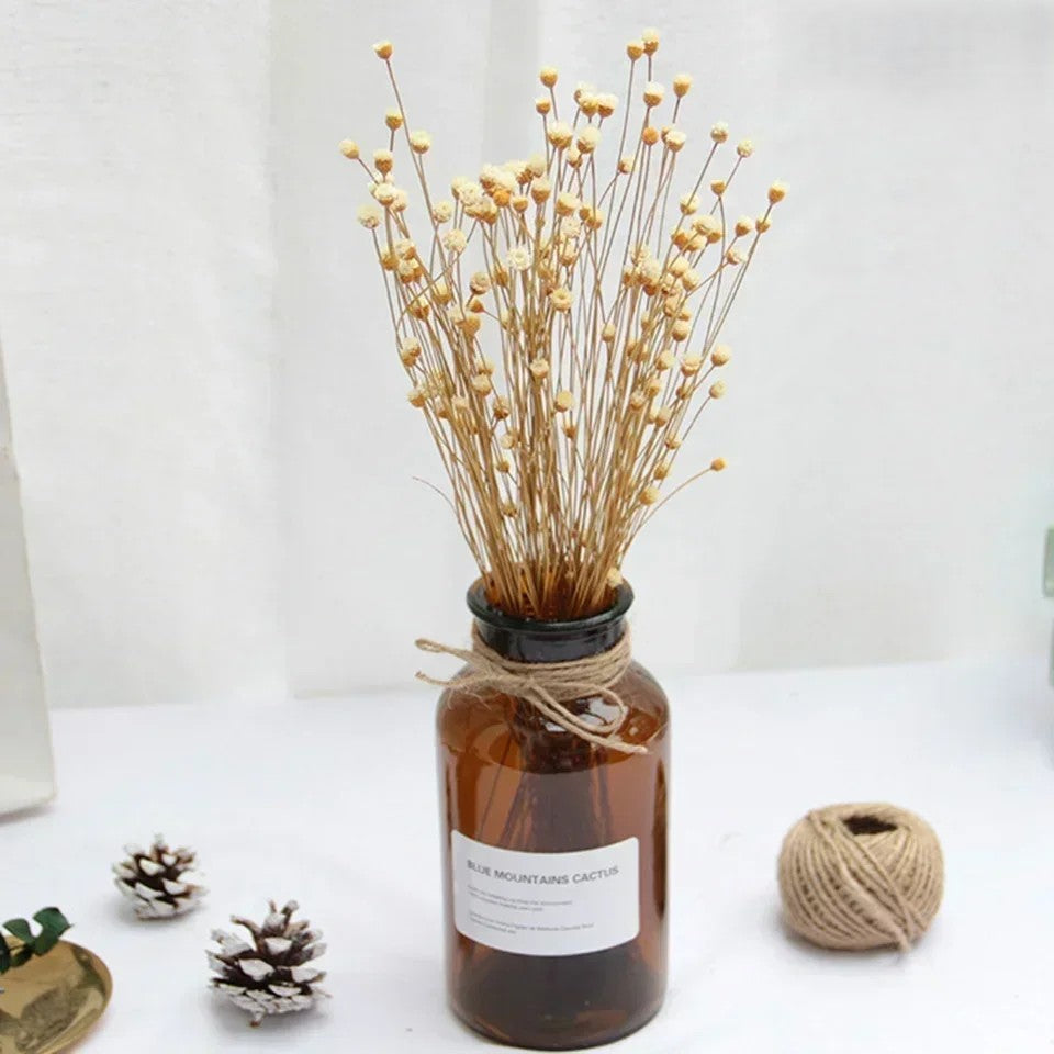 Brazilian Lucky Dried Flowers – Natural Preserved Floral Bouquets (50 pcs)