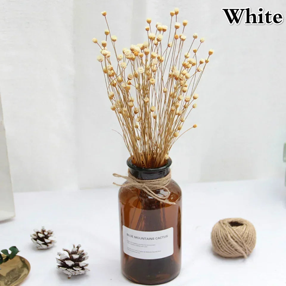 50 Mini Natural Dried Flower Bouquets