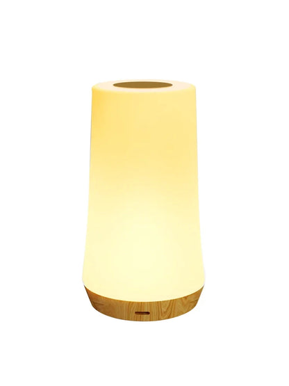 LED Night Light – 13 Color Changing, Touch & Remote Control