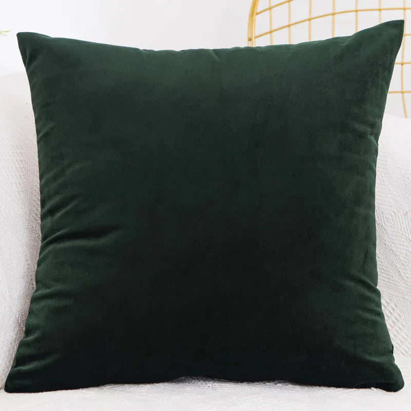 Velvet Throw Pillow Cover