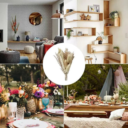 6-Piece Mini Natural Dried Flower Bouquets