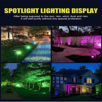 Solar 9-LED Pathway Light