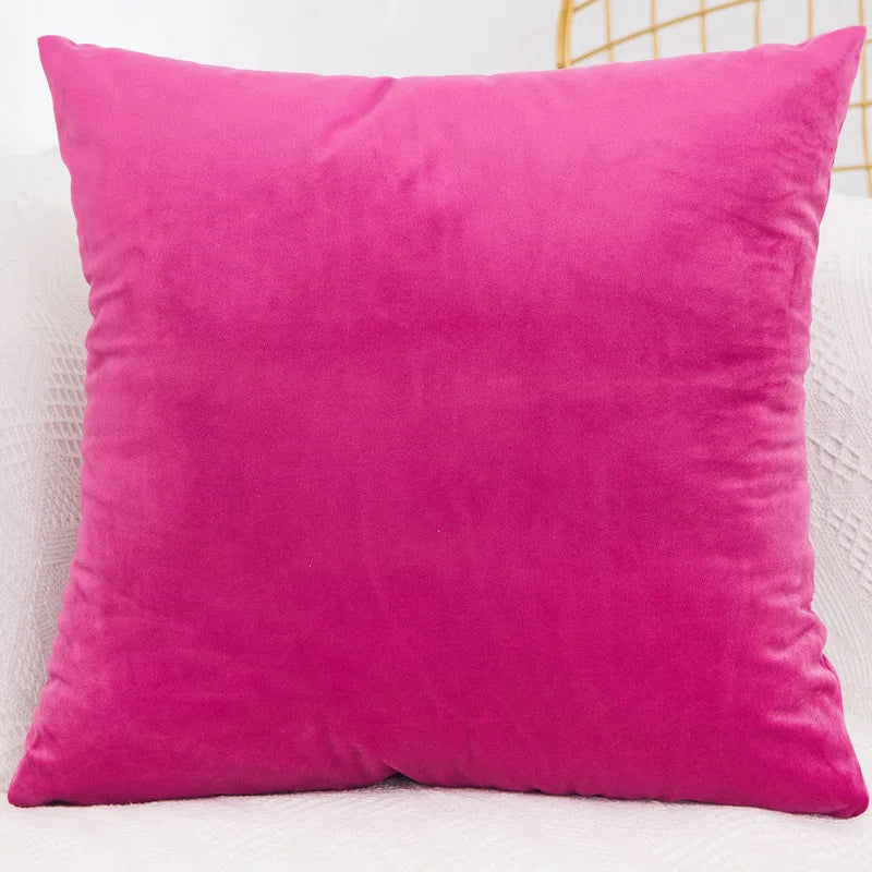 Velvet Throw Pillow Cover