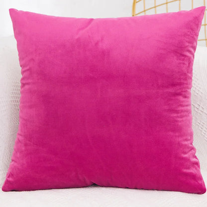 Velvet Throw Pillow Cover